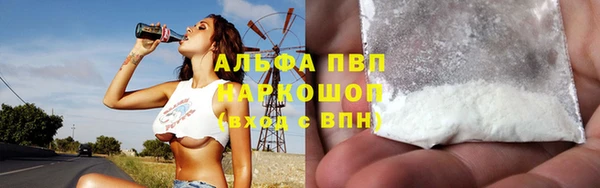 мет Алексин