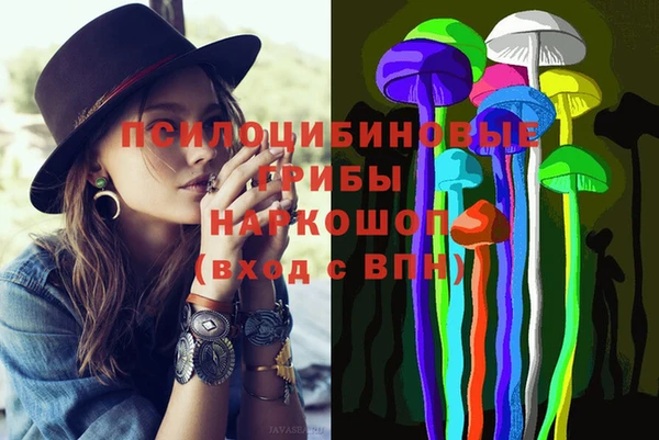 эйфоретик Алзамай