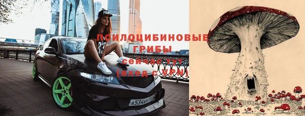 эйфоретик Алзамай