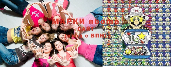 мет Алексин